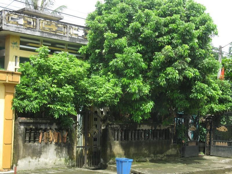 Hướng dẫn xem phong thủy cho nhà ở tại gia