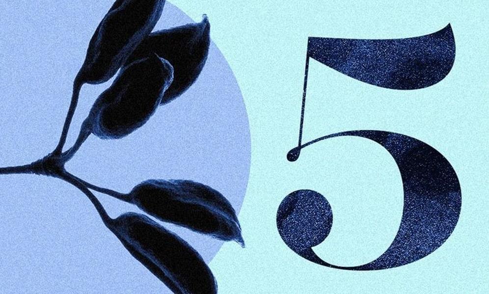 Số 5 có ý nghĩa gì? Bạn đã biết đầy đủ kiến thức về ý nghĩa số 5 chưa?