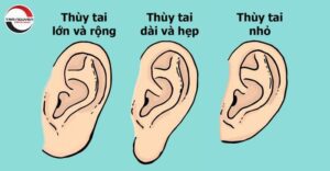 Xem tướng tai đàn ông đoán vận mệnh giàu sang hay bần hàn