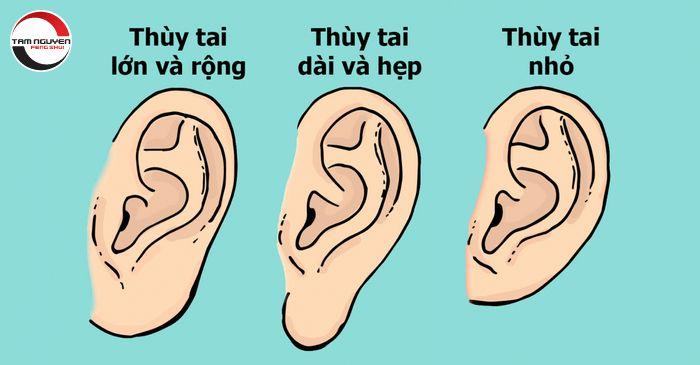 Xem tướng tai đàn ông đoán vận mệnh giàu sang hay bần hàn