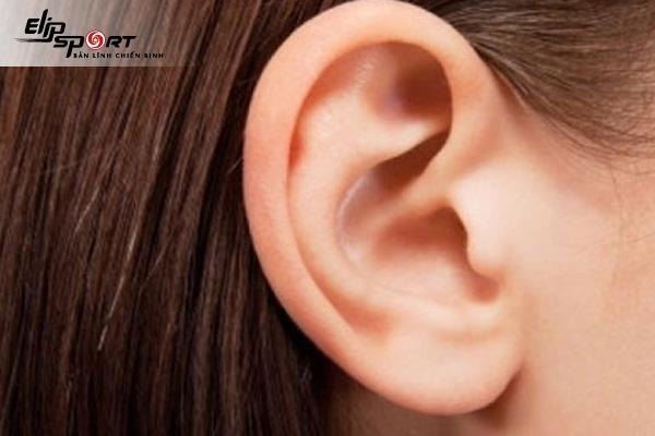 Tướng tai đẹp là gì? Dự đoán vận mệnh của từng tướng tai