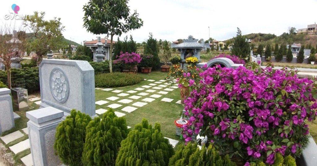 Cuối năm đi tạ mộ, trồng 1 trong 10 cây này bên mộ con cháu đời đời giàu sang, gia đình êm ấm