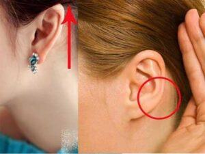 Xem tướng tai của phụ nữ nhìn thấu vận mệnh cả đời: Hưởng no nê tài lộc hay dính hoạ thị phi?