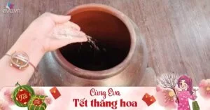 Lặng lẽ đặt thứ này trong hũ gạo trước đêm giao thừa, cả năm Thần Tài phù hộ, vạn sự hanh thông