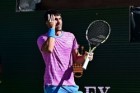 Tứ kết Indian Wells 2024 dừng gữa chừng do... ong đốt trọng tài