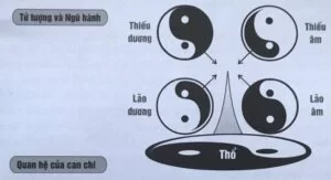 Tứ tượng là gì - Phong Thủy VIETAA