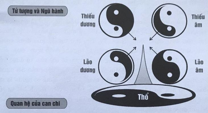 Tứ tượng là gì - Phong Thủy VIETAA
