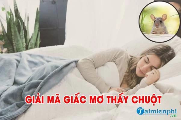 Mơ thấy chuột là dấu hiệu gì? Nên chọn con số nào?