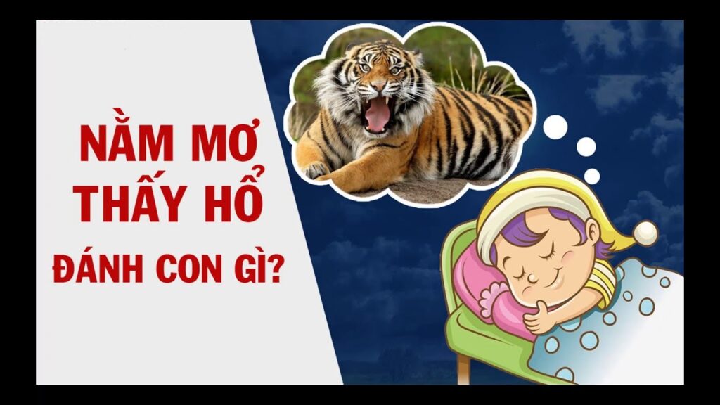 [2024] Nằm mơ thấy hổ (cọp) điềm gì, lành hay dữ, đánh con gì?