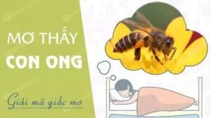 Mơ thấy con ong, mơ thấy ong đốt, tổ ong mật