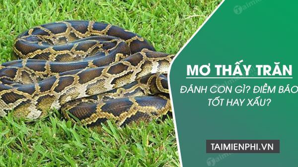 Điềm báo gì khi nằm mơ thấy trăn? Có nên đánh con số gì?