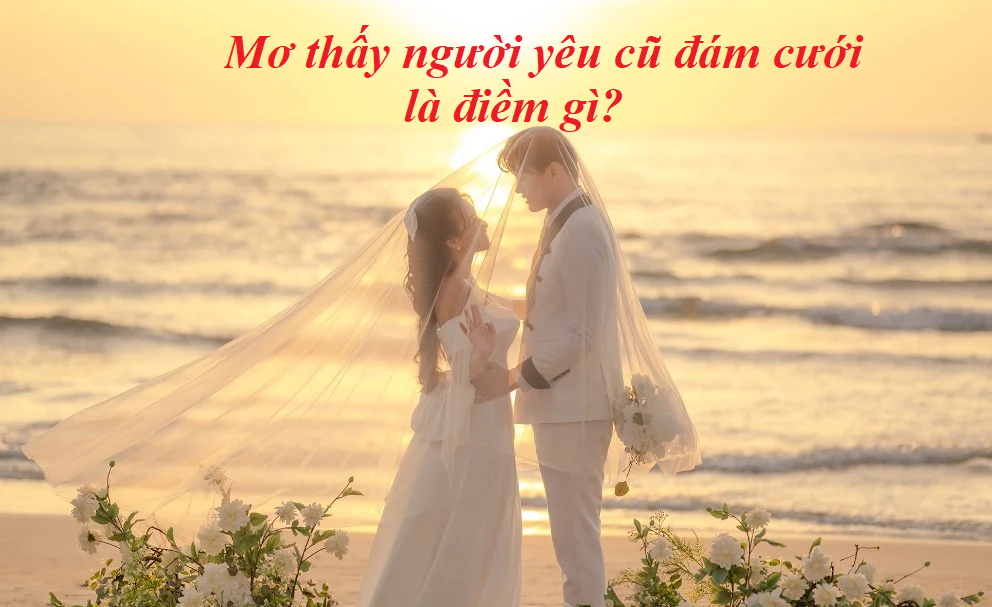 Nam Mo Thay Nguoi Yeu Cu Dam Cuoi 1 Mơ Thấy Người Yêu Cũ Lấy Vợ, Lấy Chồng Là Điềm Gì? Giải Mã Giấc Mơ Thấy Người Yêu Cũ Lấy Vợ, Lấy Chồng