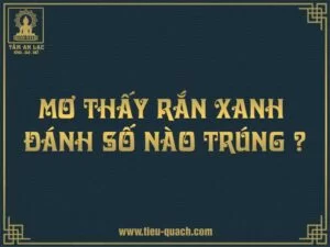 Luận số đề khi mơ thấy rắn màu xanh
