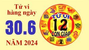 Tử vi hôm nay, xem tử vi 12 con giáp hôm nay ngày 30/6/2024: Tuổi Tý công việc khó khăn