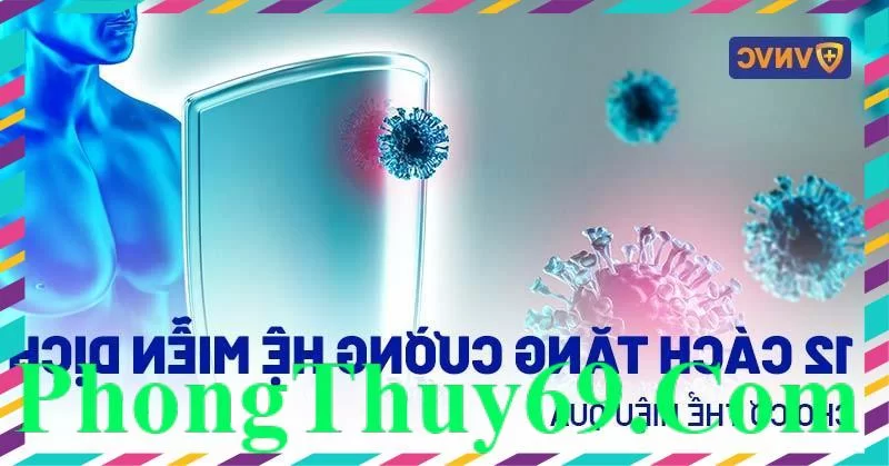 cách tăng cường hệ miễn dịch