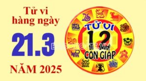 Tử vi hôm nay, xem tử vi 12 con giáp hôm nay ngày 21/3/2025: Tuổi Hợi thu nhập gia tăng