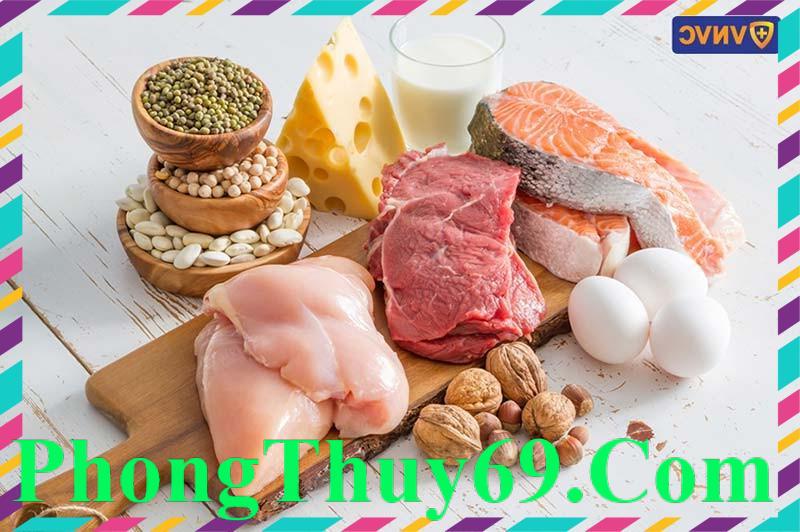 các thực phẩm chứa protein tốt