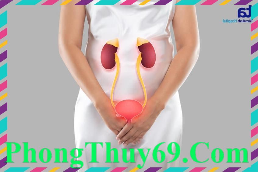 đột quỵ để lại biến chứng nhiễm trùng đường tiết niệu