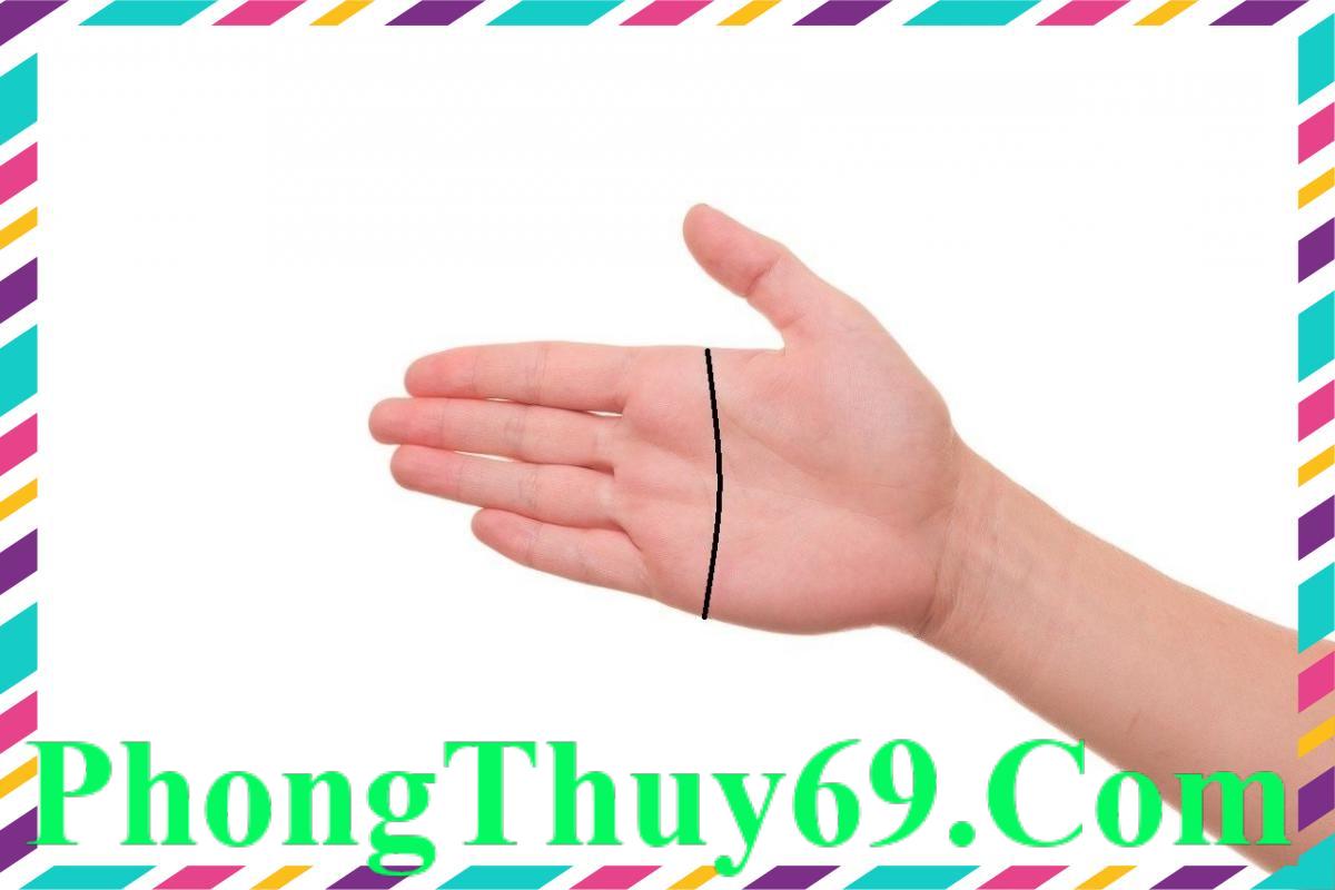 Đường chỉ tay chữ Nhất