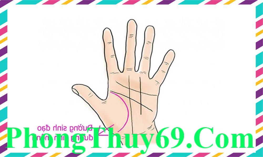 Đường sinh đạo