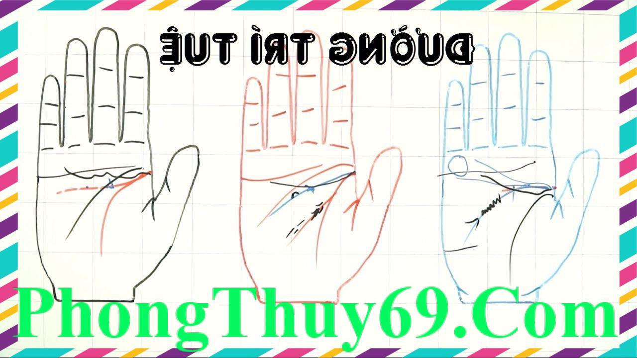 Đường trí đạo