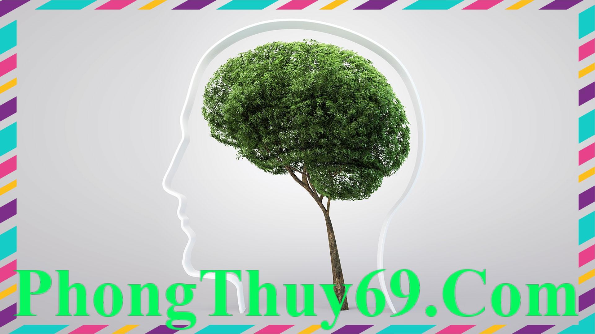 Giấc mơ là cách chúng ta xử lý vấn đề