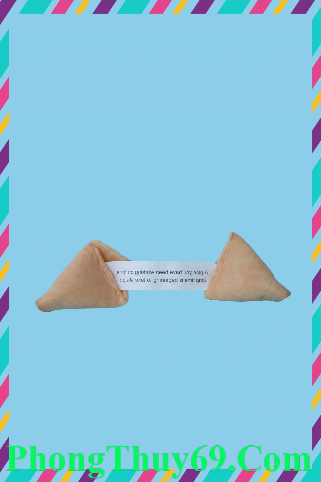hành trình trưởng thành 2