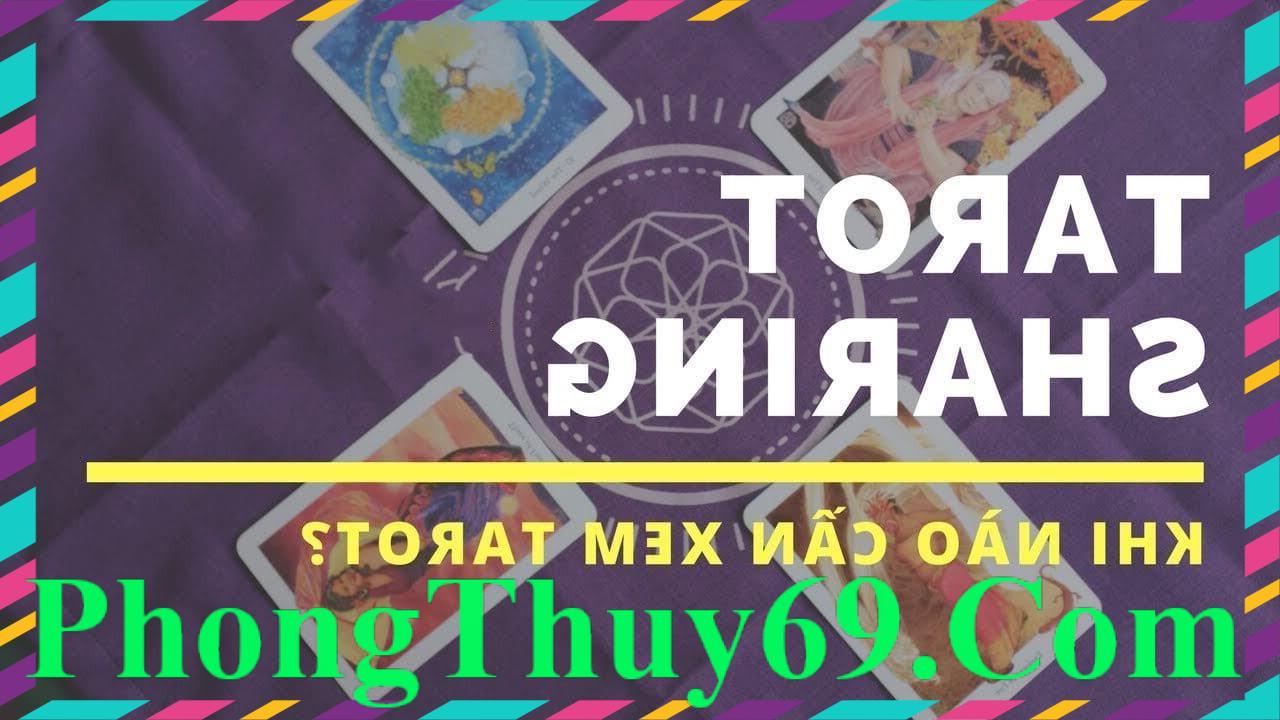 Khi Nào Nên Và Không Nên Đi Xem Tarot