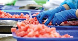 Cá ngừ Việt Nam tăng trưởng xuất khẩu 92 % sang Nga và Lợi ích sức khỏe tuyệt vời