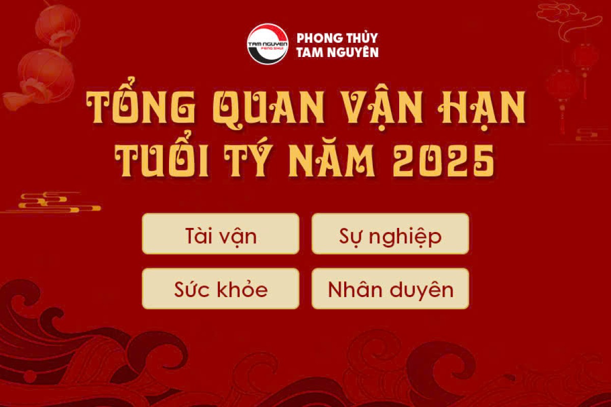 Dự Đoán Vận Hạn Tuổi Tý Năm 2025: Thành Công Hay Sóng Gió?