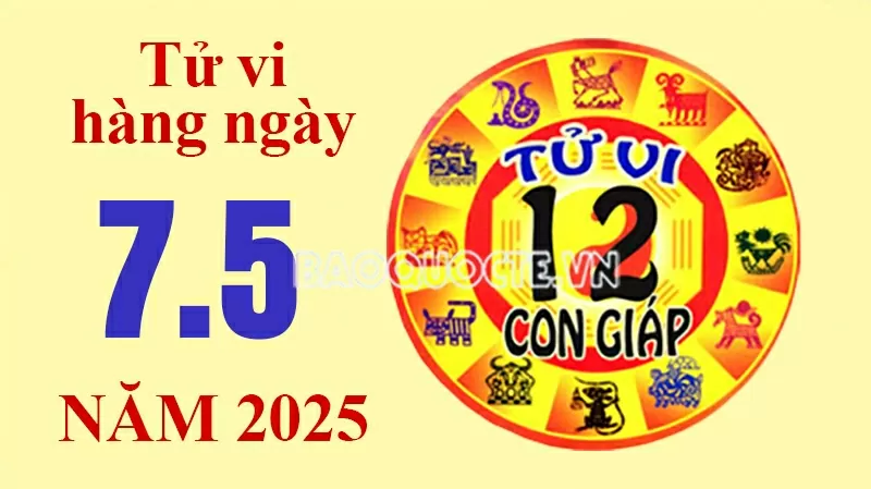 Tử vi hôm nay, xem tử vi 12 con giáp hôm nay ngày 7/5/2025: