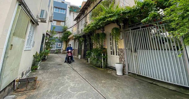 Cây xanh giúp thanh lọc không khí, tạo sinh khí và làm mềm không gian chật hẹp trong hẻm.