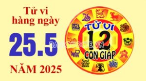 Tử vi hôm nay, xem tử vi 12 con giáp hôm nay ngày 25/5/2025: Tuổi Tý tiền bạc nhiều vận may