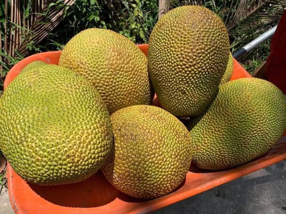 Xem thêm: Phạm phải 3 lỗi phong thủy này, tài vận gia chủ lao dốc không phanh
