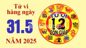 Tử vi hôm nay, xem tử vi 12 con giáp hôm nay ngày 31/5/2025: Tuổi Tý thi cử nhận tin tốt