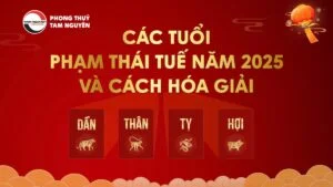 Các Tuổi Phạm Thái Tuế Năm 2025 Và Cách Hóa Giải