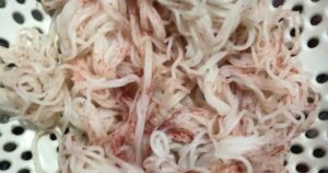 Bún chuyển sang màu đỏ bất thường: Cảnh báo nguy cơ sức khỏe từ thực phẩm
