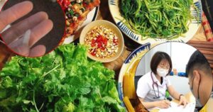 Sán dây dài 3m chui ra từ cơ thể: Nguyên nhân và cách phòng bệnh hiệu quả