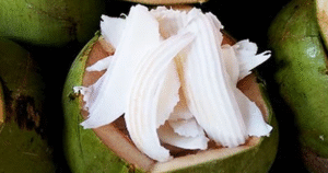 4 Lọai trái cây gây hại cho gan Nếu ăn sai cách mà nhiều người vẫn thích