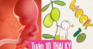 Tuần thai thứ 10: Bé yêu bắt đầu mọc lông tơ và móng tay , mẹ đã thấy bụng lộ chưa?