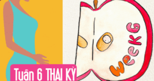 Tuần thai thứ 6: Tim thai đập rộn ràng , mẹ cần biết điều gì?