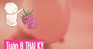 Tuần thai thứ 8: Sự phát triển của bé và mẹ trong những dấu hiệu đầu tiên