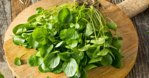 Cải xoong - rau chống ung thư tốt nhất thế giới cho sức khỏe tim mạch và xương khớp