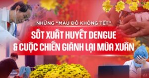 Những "màu đỏ không Tết" do Sốt xuất huyết Dengue và cuộc chiến giành lại mùa xuân