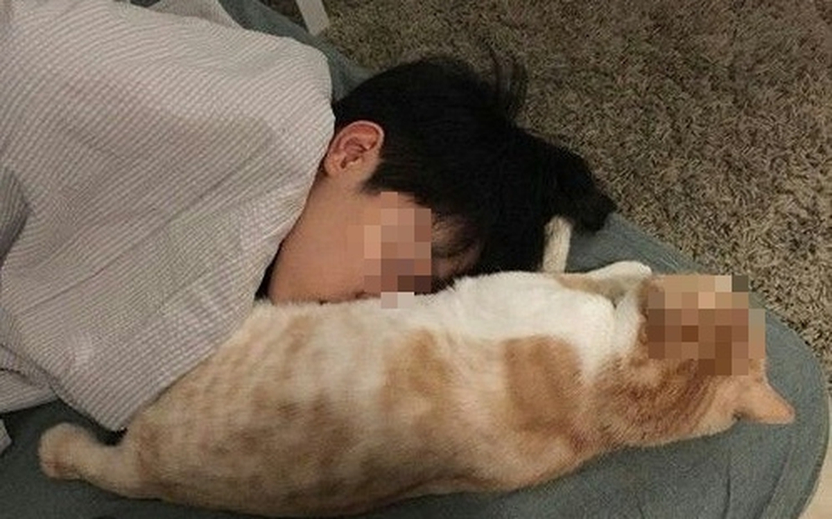 Cậu bé 14 tuổi mù lòa Do ký sinh trùng Toxoplasma sau 1 năm ngủ chung với thú cưng
