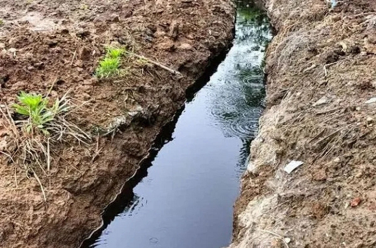 62 Người trong làng Huangtupo mắc ung thư , nghi vấn nhà máy hóa chất là thủ phạm