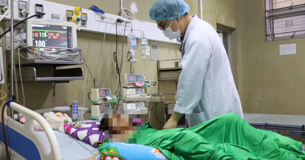 Bé gái 10 tuổi bị ong vò vẽ đốt hơn 70 vết nguy kịch tại Cà Mau
