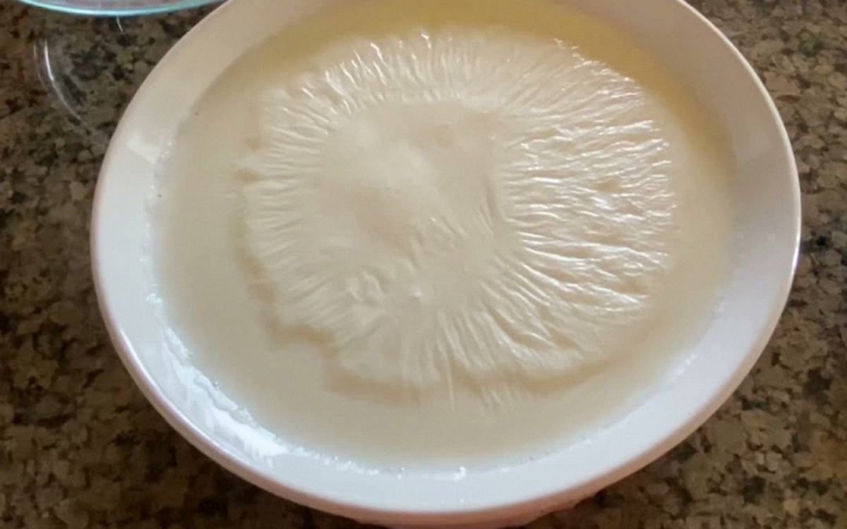 Nữ bác sĩ Nhật giảm 15kg nhờ ăn sữa chua nóng độc đáo
