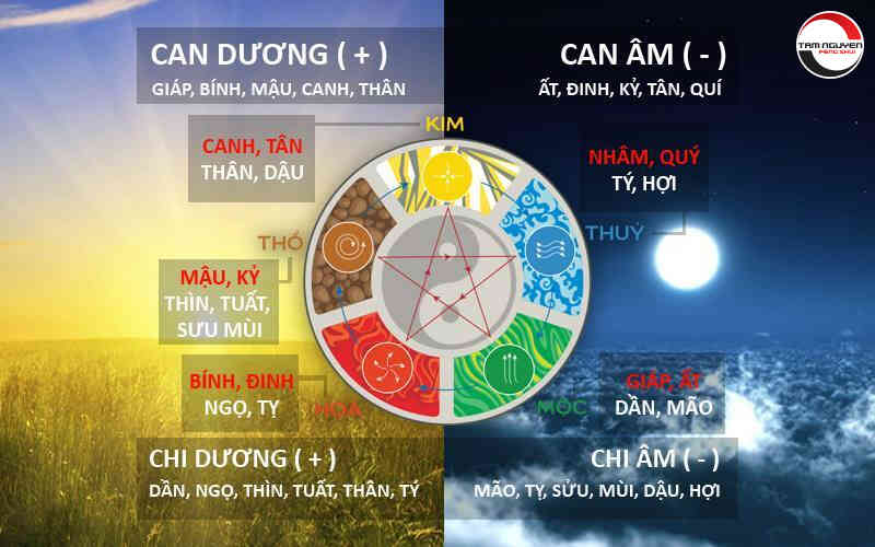 xung khắc địa chi là gì