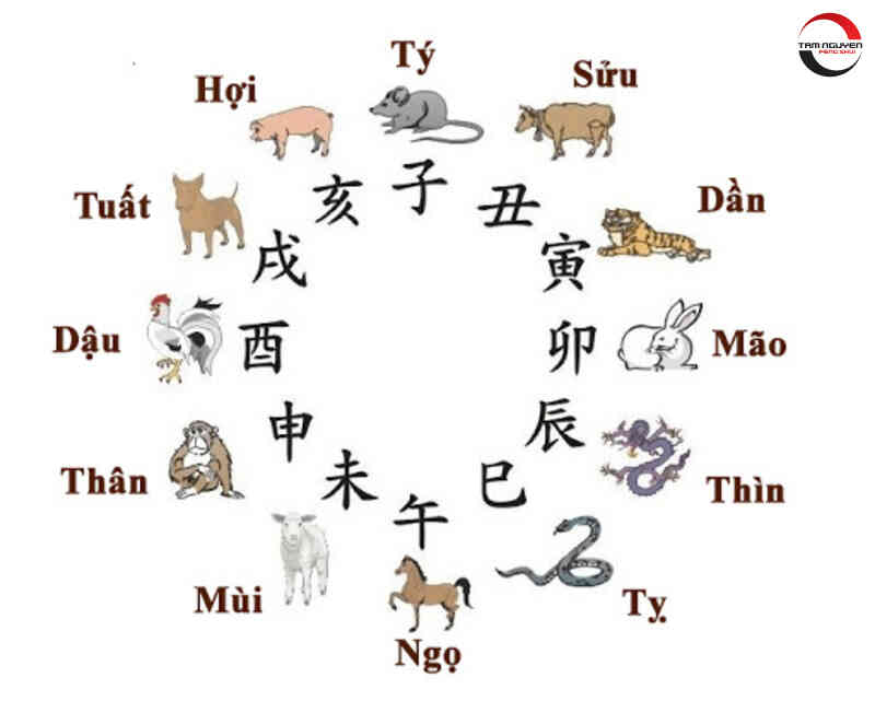 địa chi xung hợp là gì